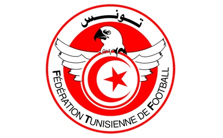 Mondial Brésil 2014 - Cameroun-Tunisie - 1ère séance des 