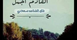 wled el 7ay
