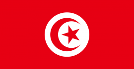 ligue mansoura 4