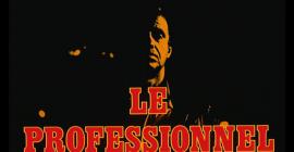 Les Professionnels